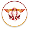 LSG logo